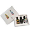 Trio d'Huile d'Olive Vierge Extra Bio Italienne 100 ml | Pressée à Froid, Multi-Primée, Achetez Directement, Coffret Cadeau