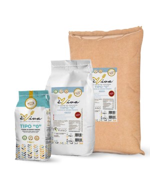 Forte 320 | All-Purpose/Plain Flour Italian Type 0, Flour for pizza, glyphosate-free, no pesticides, with germ