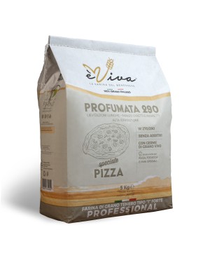 Profumata 290 | Farina Grano Tenero tipo 1 Forte, Farina per Pizza, 100% Italiana, No Pesticidi, No Additivi, Con Germe