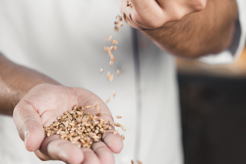 Gluten intolerance? Maybe gluten isn’t the real problem